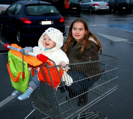 Dans le caddie